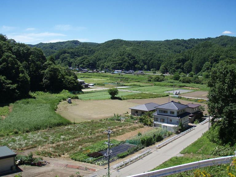 120801お墓参り.JPG