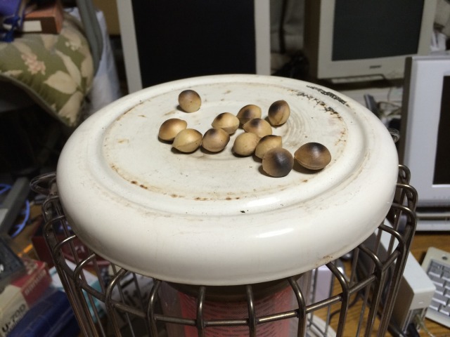 できあがり
