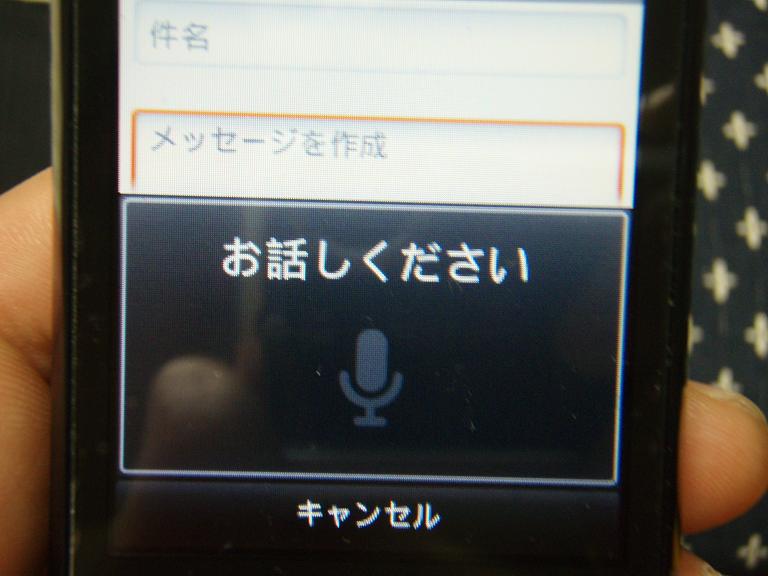 110131音声入力.JPG